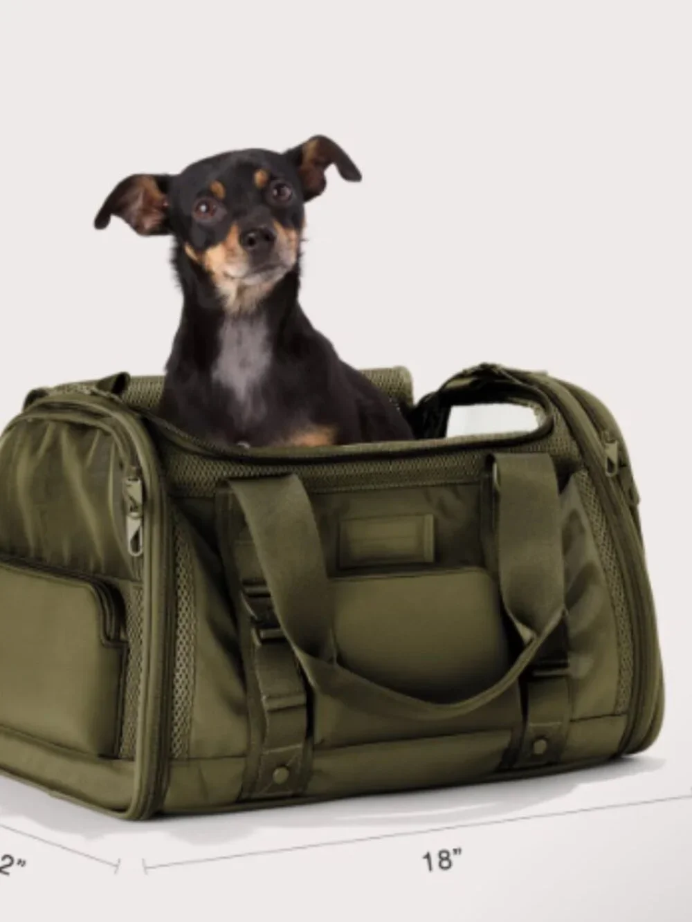 * BRAND NEW* DAGNE DOVER Kyoto Pet Carrier